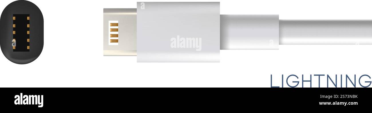 Connettore di alimentazione creato da Apple. Trasmissione di file dal telefono al computer e al computer portatile. Cavo o filo isolato per fulmini con uscita e ingresso. Caricabatterie per smartphone. Vettore in stile piatto. Fulmine, tipo di connettori per vettore gadget Illustrazione Vettoriale