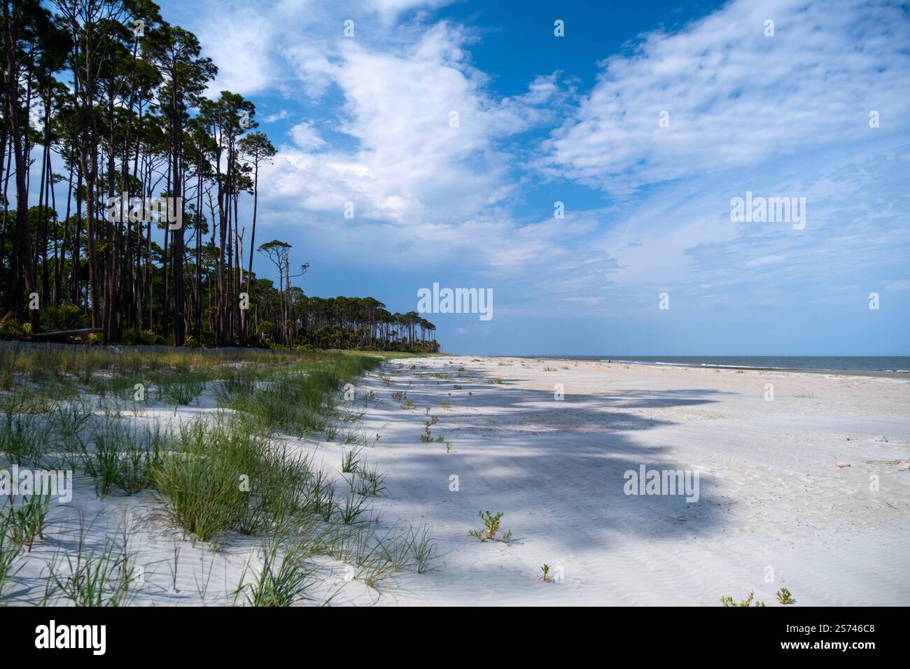 Spiaggia di sabbia bianca nel famoso parco statale di Hunting Island sulla costa atlantica del South Carolina Foto Stock