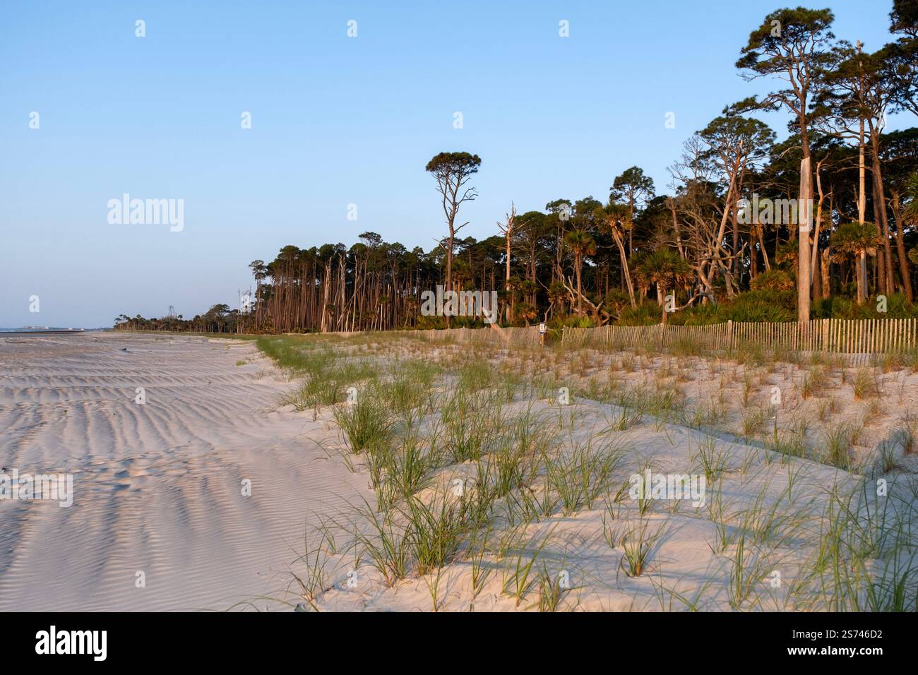 Spiaggia di sabbia bianca nel famoso parco statale di Hunting Island sulla costa atlantica del South Carolina Foto Stock