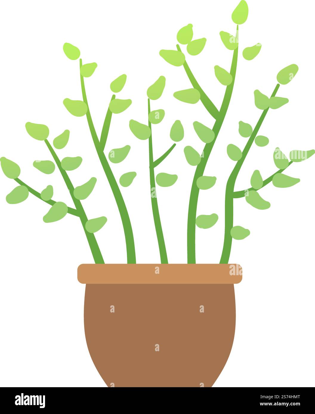 Pianta verde. Impianto ZZ in vaso. Simbolo del giardino della casa isolato su sfondo bianco. Pianta verde. Impianto ZZ in vaso. Simbolo del giardino di casa Illustrazione Vettoriale