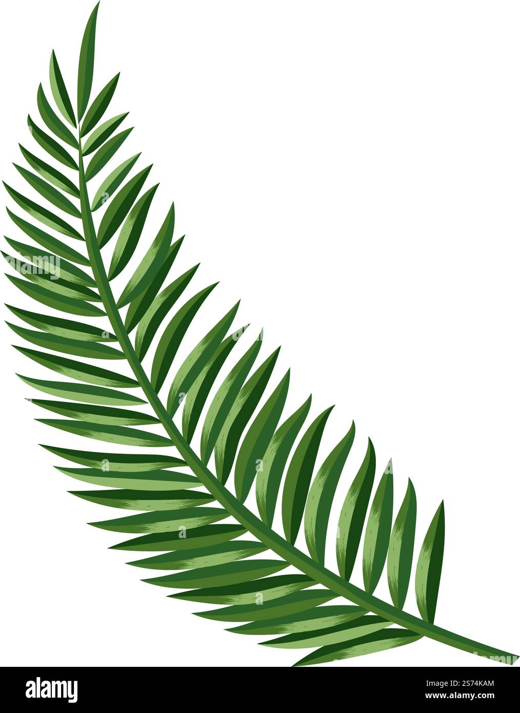 Fronde di palma. Simbolo del paradiso tropicale. Foglie esotiche isolate su sfondo bianco. Fronde di palma. Simbolo del paradiso tropicale. Foglie esotiche Illustrazione Vettoriale