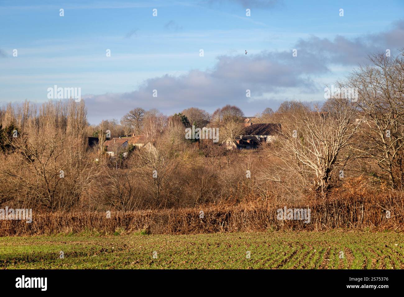 La frazione di Lignaud a Creuse, in Francia, attraverso la campagna in una giornata di sole d'inverno. Foto Stock