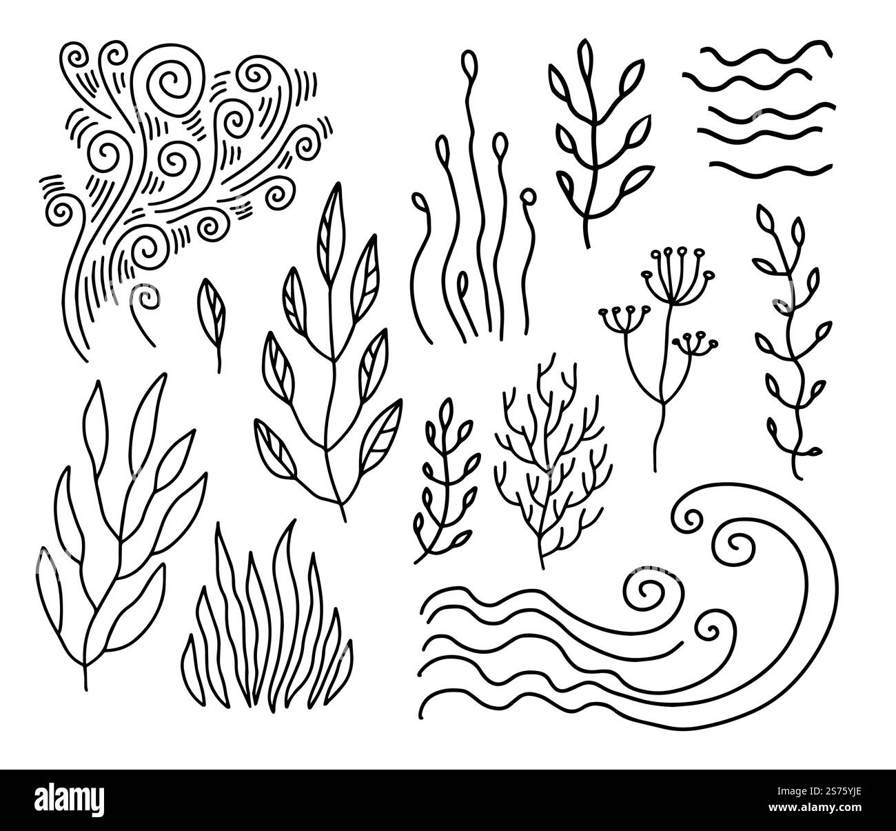 Decorazione botanica e floreale, foglie e ramoscelli isolati, rami con foglie e fogliame. Linee di boccole e piante, linee di schizzo monocromatiche. Motivi e ornamenti naturali. Vettore in stile piatto. Fiori e ornamenti botanici, schizzo monocromatico Illustrazione Vettoriale
