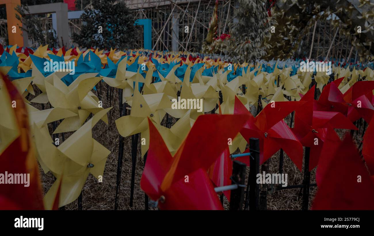 Rotelle di carta colorata in un giardino, con rotelle rosse, gialle e blu disposte in file, creando un'atmosfera vivace e giocosa. Foto Stock