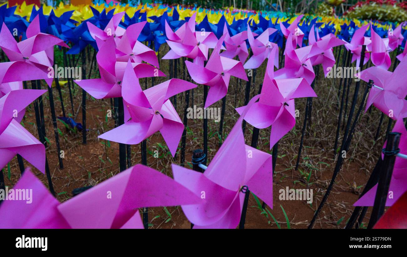 Ruote piroettanti colorate in un campo, con colori rosa, blu e giallo, che creano un'atmosfera vivace e giocosa. Foto Stock