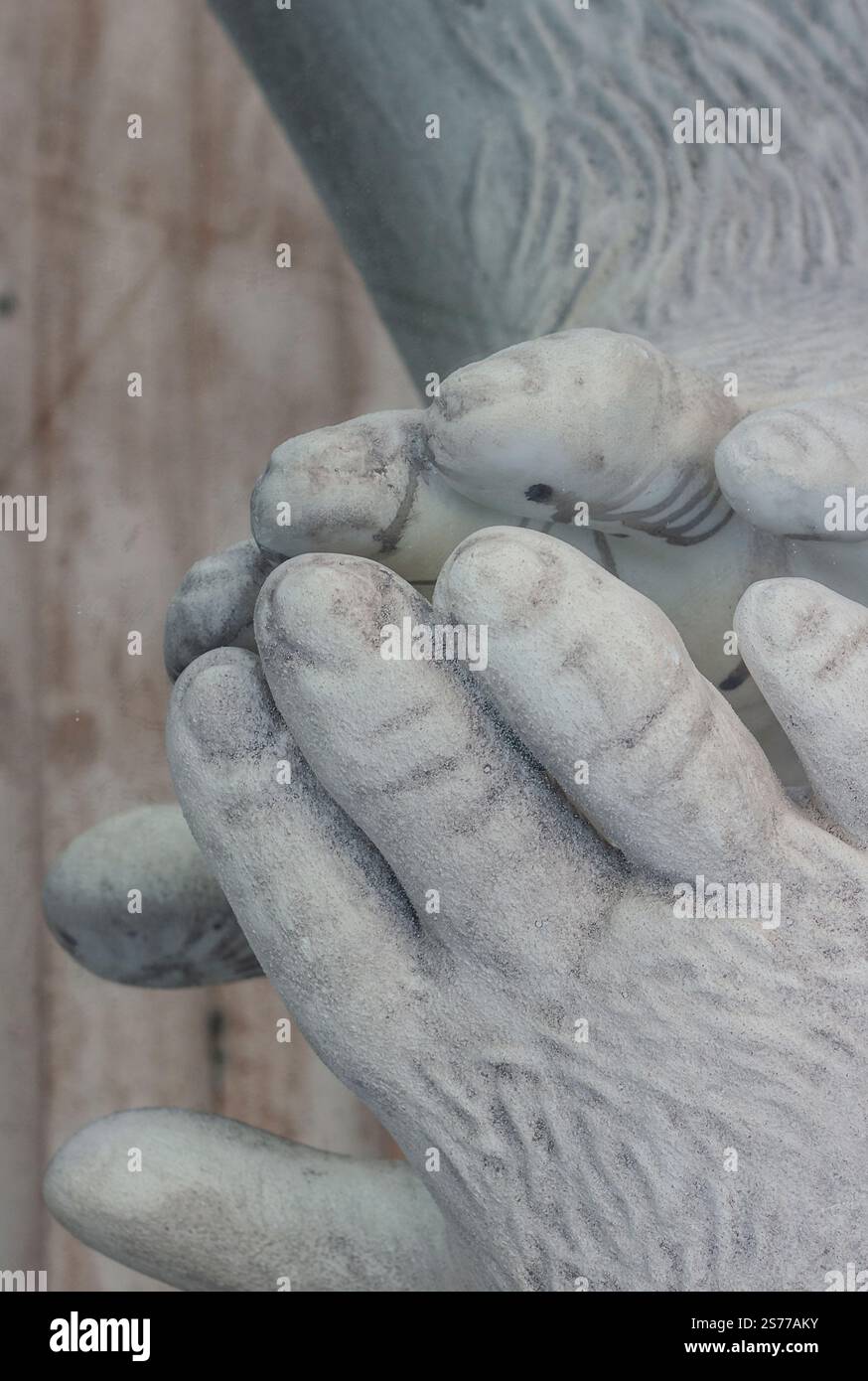 Mani in marmo complesse: Cattura eleganza, texture e dettagli artistici. Foto Stock
