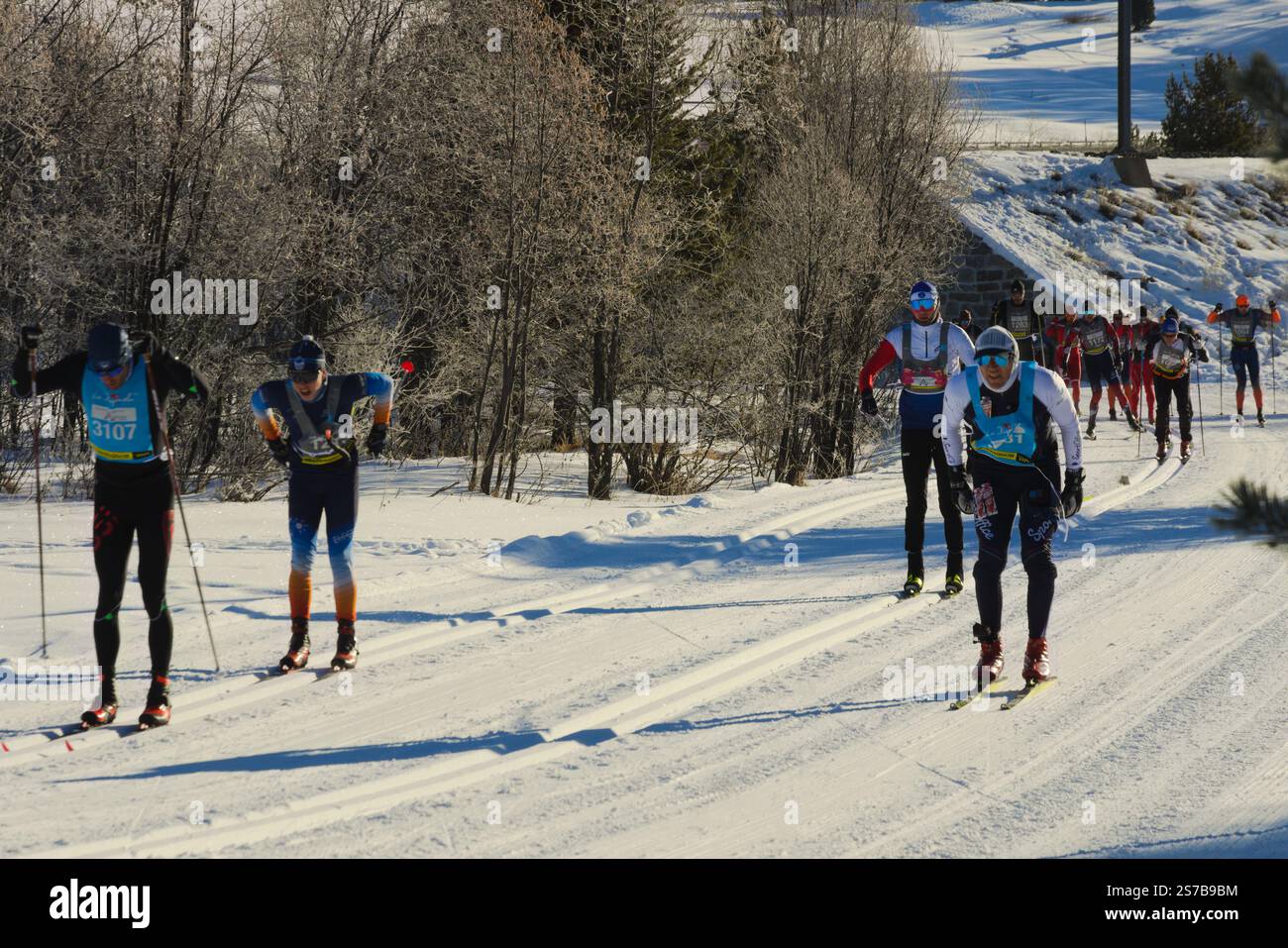 Pontresina, Svizzera - 18 gennaio 2025: Sciatori durante la maratona di sci nordico la Diagonela. Engadin, Cantone di Graubünden, Svizzera. Foto Stock