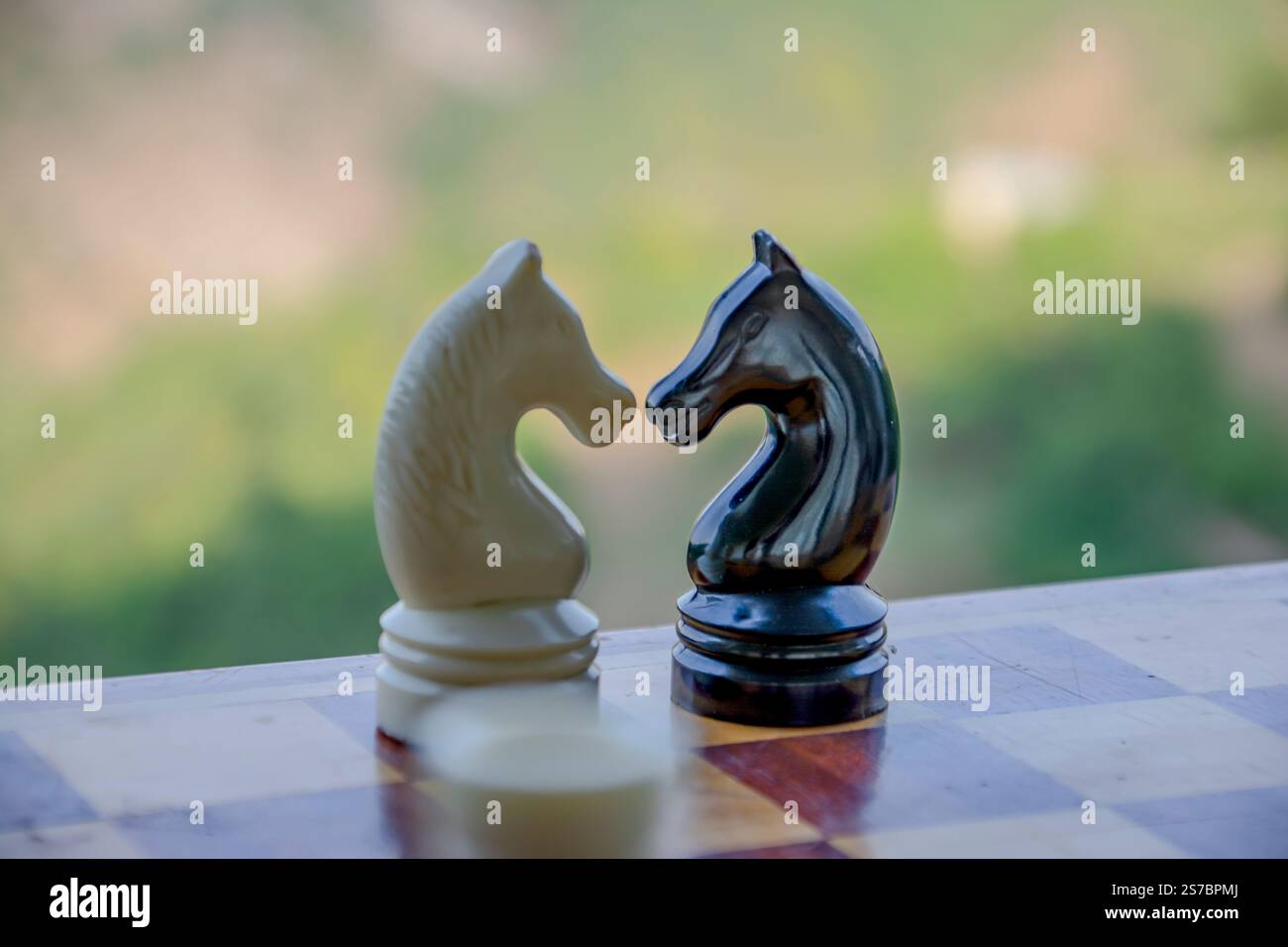 Scacchiera. Partita a scacchi. Pezzi di scacchi - Re, Regina, Regina, Torre, Vescovo, cavaliere, pedone. Gioco da tavolo. Icone degli scacchi, design, set di stampa Foto Stock