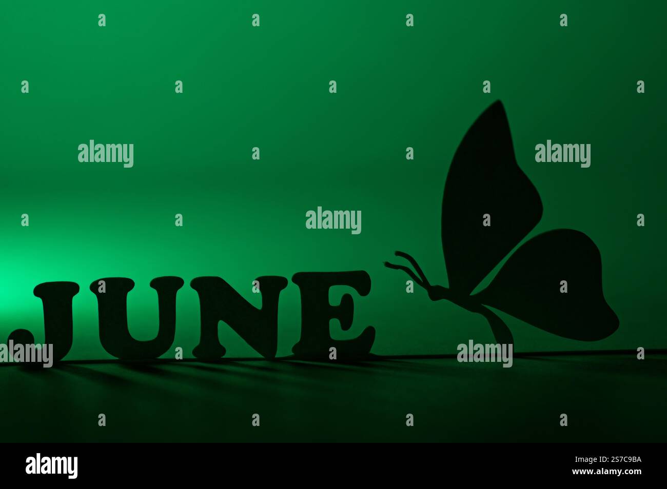 Silhouette di giugno con ombre e una farfalla Foto Stock