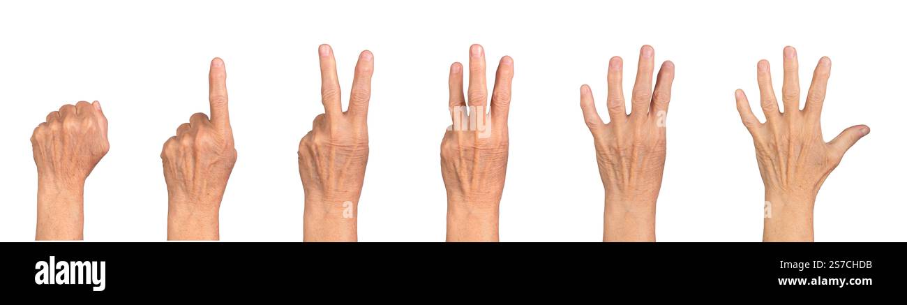 Mano vecchia che conta da zero a cinque, pugno a palmo aperto, pelle rugosa, toni grigi, primo piano di gesti per la comunicazione e l'istruzione. Isolato su wh Foto Stock
