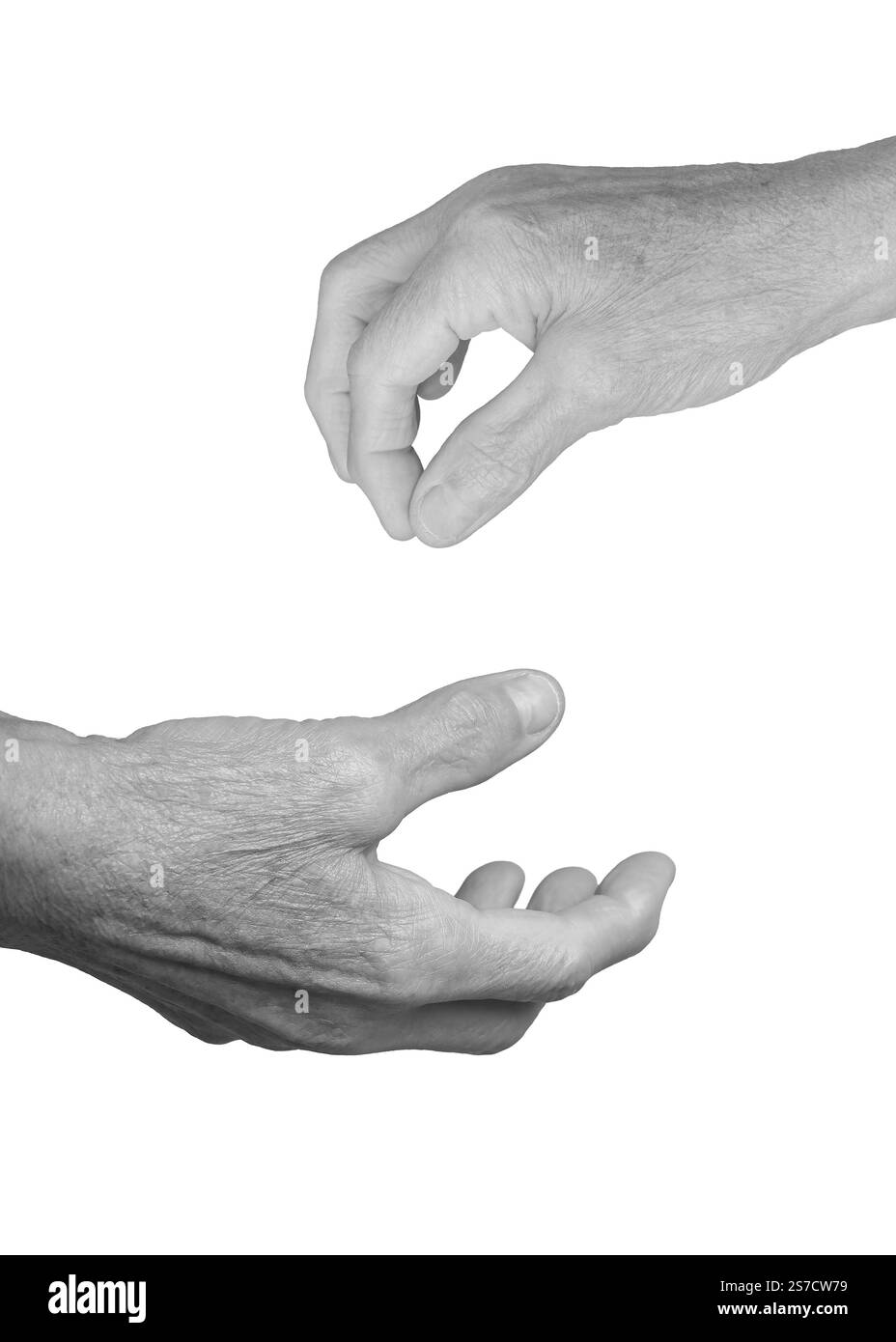 Donna anziana con le mani aperte e in avvicinamento, palmo sollevato, dita leggermente arricciate, gesti che esprimono l'offerta o la cura, pelle rugosa nei toni della scala di grigi. Isolato Foto Stock