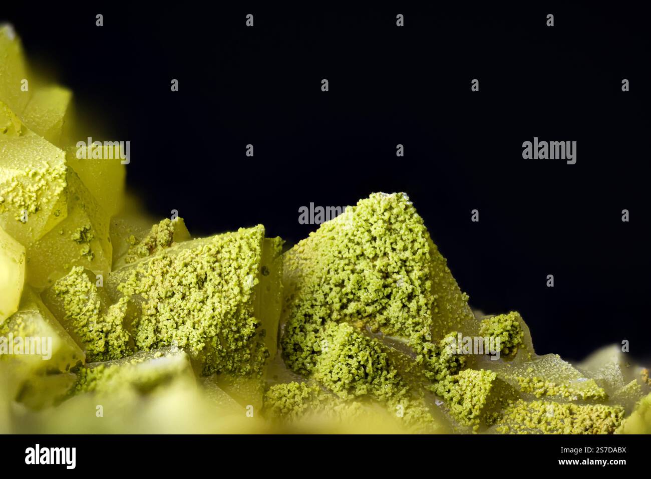 Chenevixite verde su quarzo. Esemplare della miniera di clara, oberwolfach, Germania. Micro Photography primi piani estremi. fotografia al microscopio in cristallo minerale Foto Stock