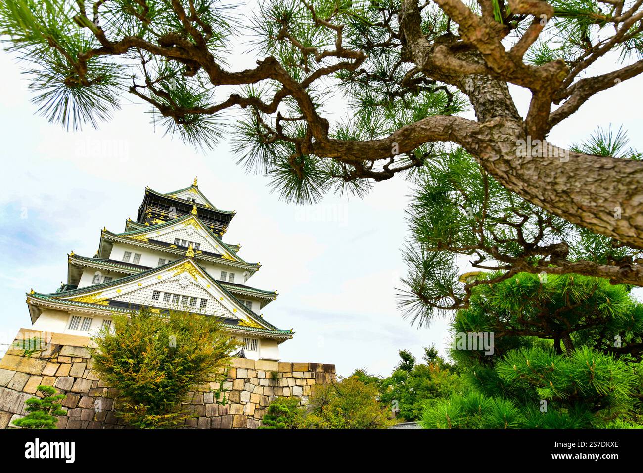 Il castello di Osaka è un castello giapponese situato a Chuo Ward, nella città di Osaka, in Giappone. È uno dei castelli più famosi del Giappone. Foto Stock
