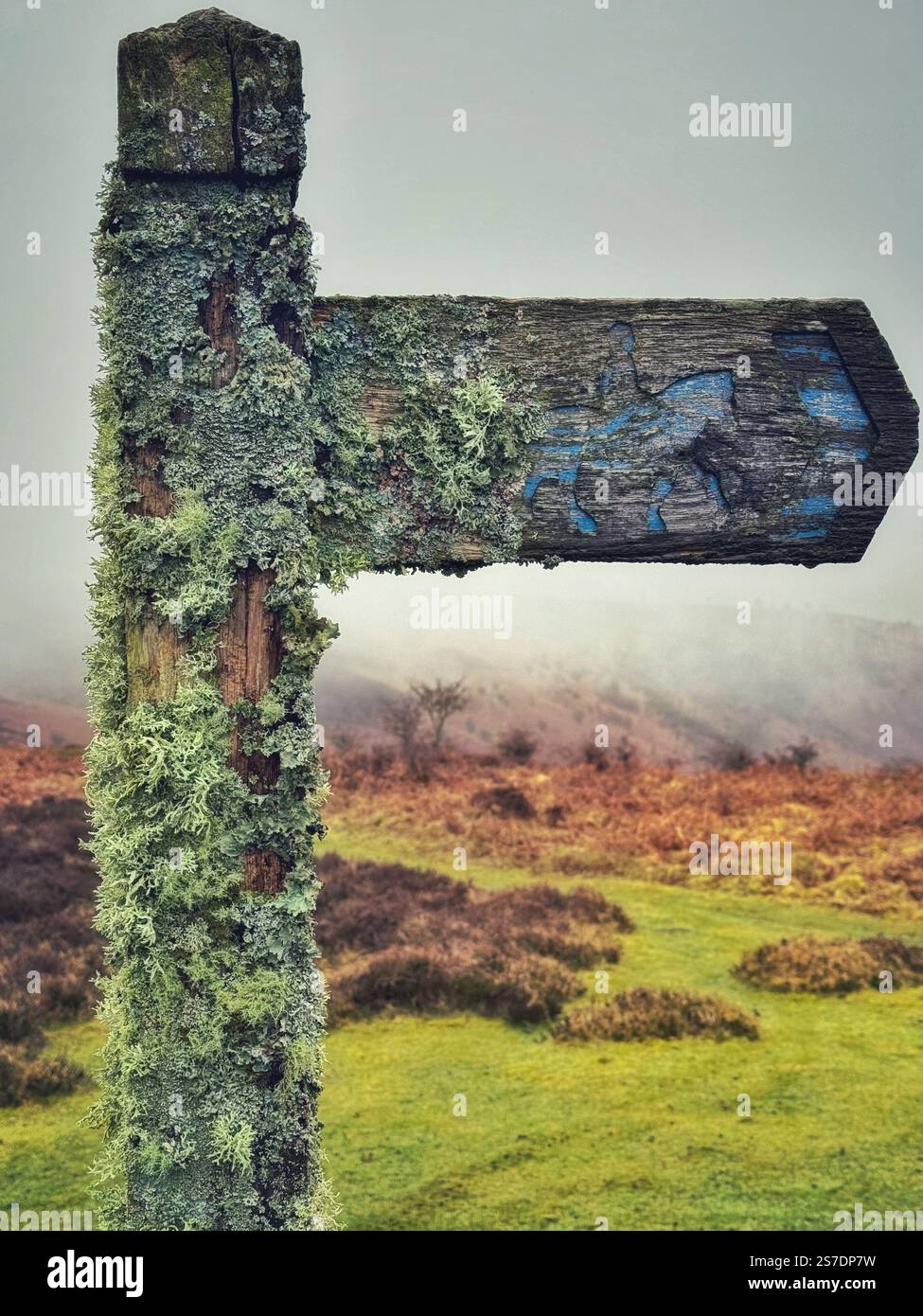 Cartello di Bridleway incrociato con licheni, Bannau Brycheniog, (Brecon Beacons) Wales, UK - Immagine stock catturata con smartphone