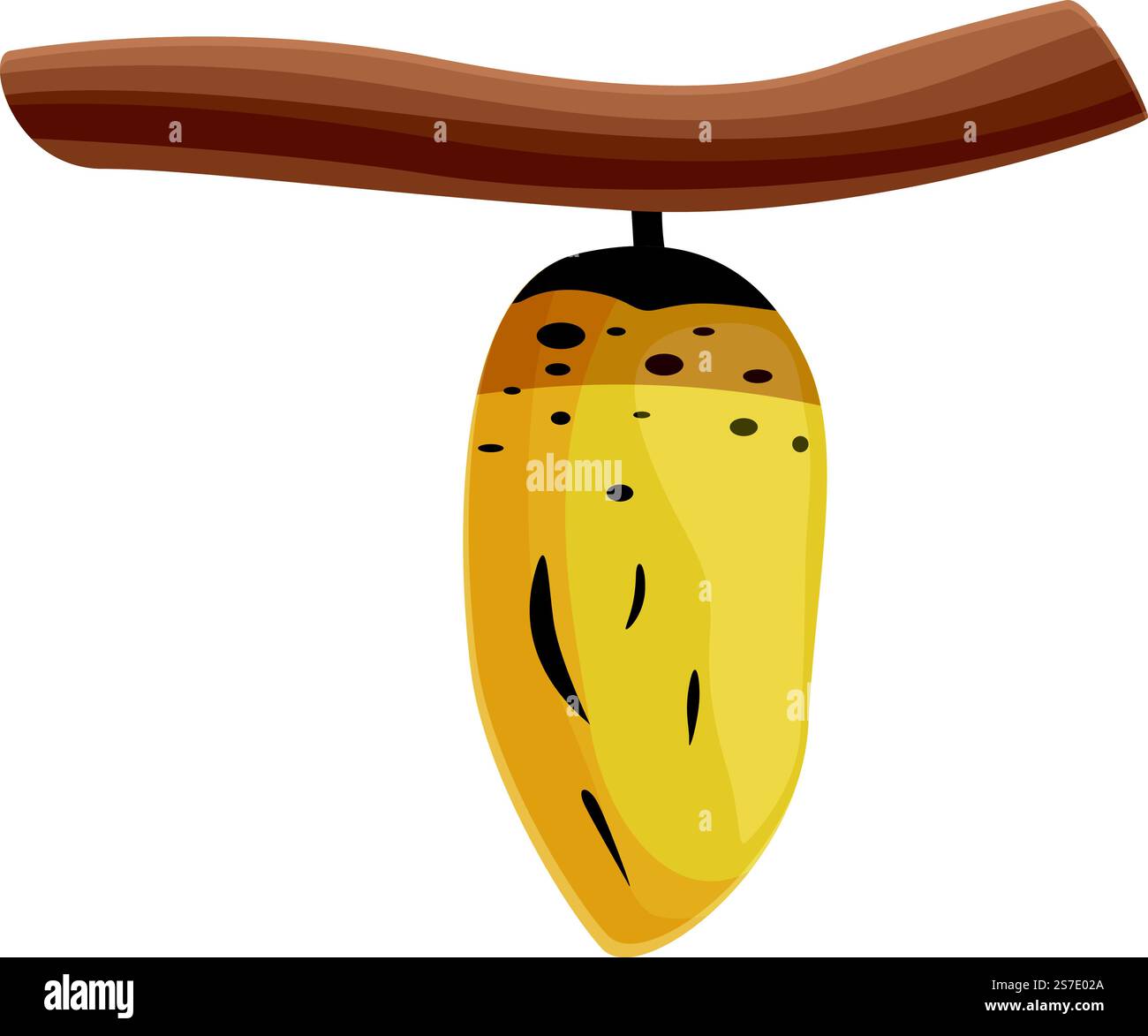 Pupa Cocoon icon Cartoon Vector. Foglia naturale. Durata filettatura. Pupa Cocoon icon Cartoon Vector. Foglia naturale Illustrazione Vettoriale