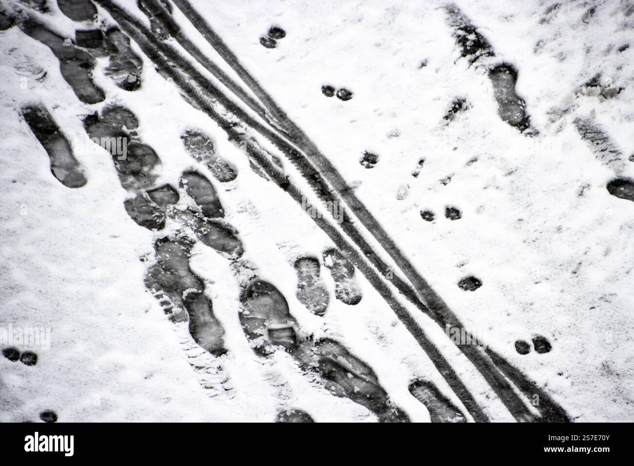 Terreno innevato che mostra numerosi passi e piste, creando un modello astratto che trasmette attività e movimento invernali. Foto Stock
