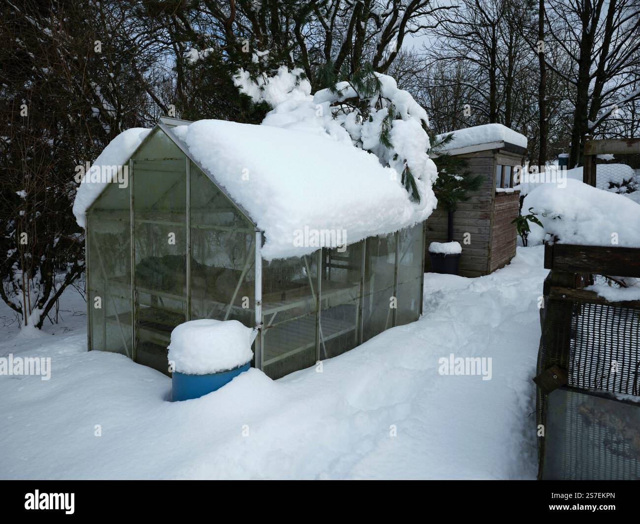 La neve profonda durante la notte a Nidderdale copre la serra della piccola azienda a 900 piedi Foto Stock