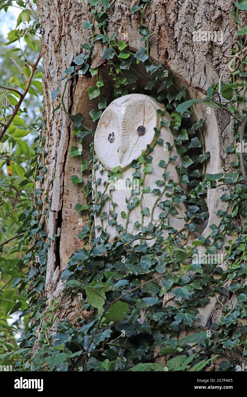 Owl Tree Carving presso RSPB Leighton Moss Reserve, Silverdale, Lancashire, Regno Unito Foto Stock