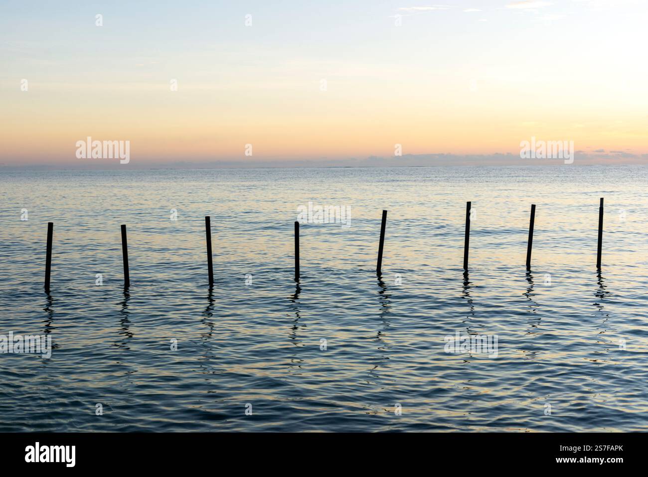 Messico, Puerto Morelos, alba su una spiaggia con una fila di pali che si estendono dall'acqua Foto Stock