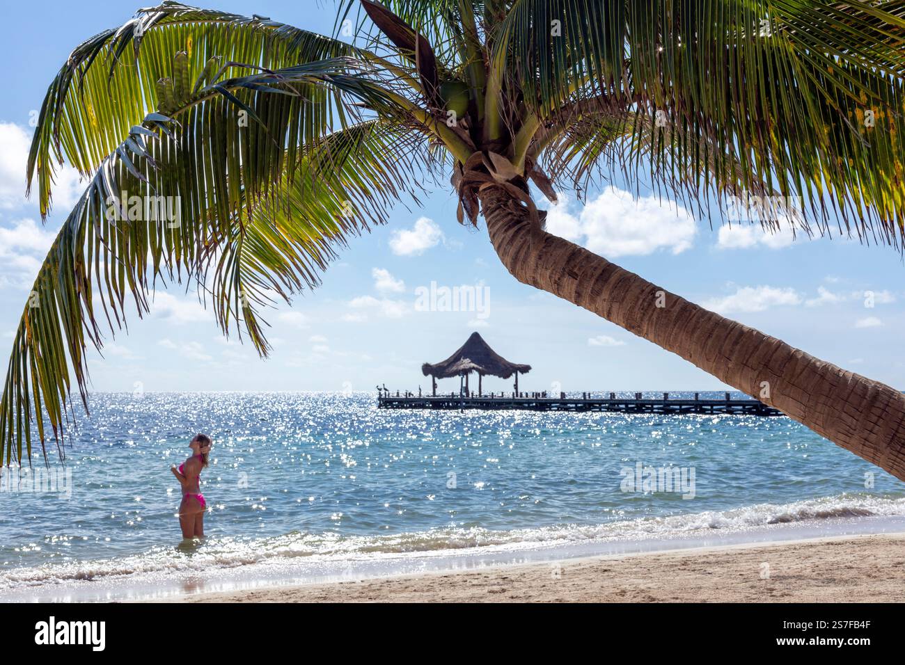 Messico, Puerto Morelos, scenario di spiaggia, molo con palapa e palma in primo piano. Giovane donna in costume da bagno al bordo delle acque che gioisce l'acqua. Foto Stock