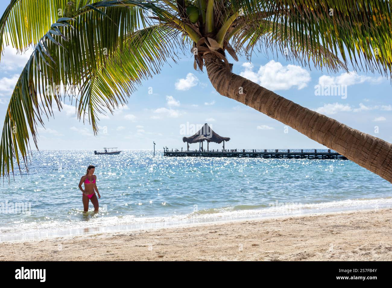 Messico, Puerto Morelos, scenario di spiaggia, molo con palapa e palma in primo piano. Giovane donna in costume da bagno al bordo delle acque che gioisce l'acqua. Foto Stock