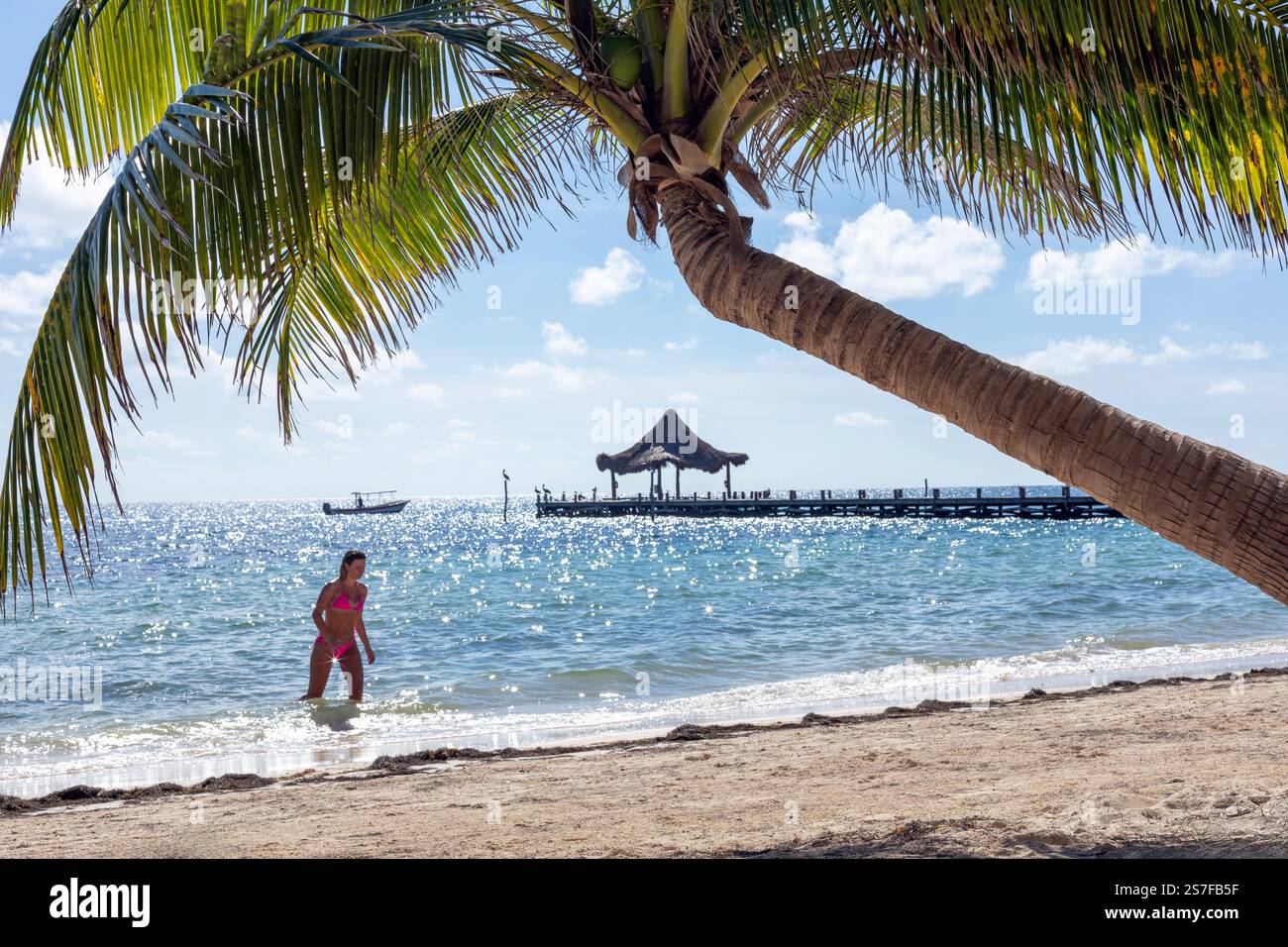 Messico, Puerto Morelos, scenario di spiaggia, molo con palapa e palma in primo piano. Giovane donna in costume da bagno al bordo delle acque che gioisce l'acqua. Foto Stock