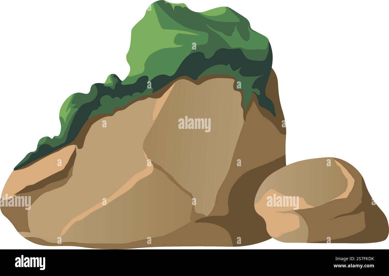 Rocce o pietre coltivate con muschio. Foreste o boschi umidi e umidi habitat per la vegetazione. Pianta senza flusso su enormi oggetti decorativi per parchi. Natura e natura selvaggia. Vettore in stile piatto. Rocce di pietra o di foresta coltivate con muschio, vettore Illustrazione Vettoriale