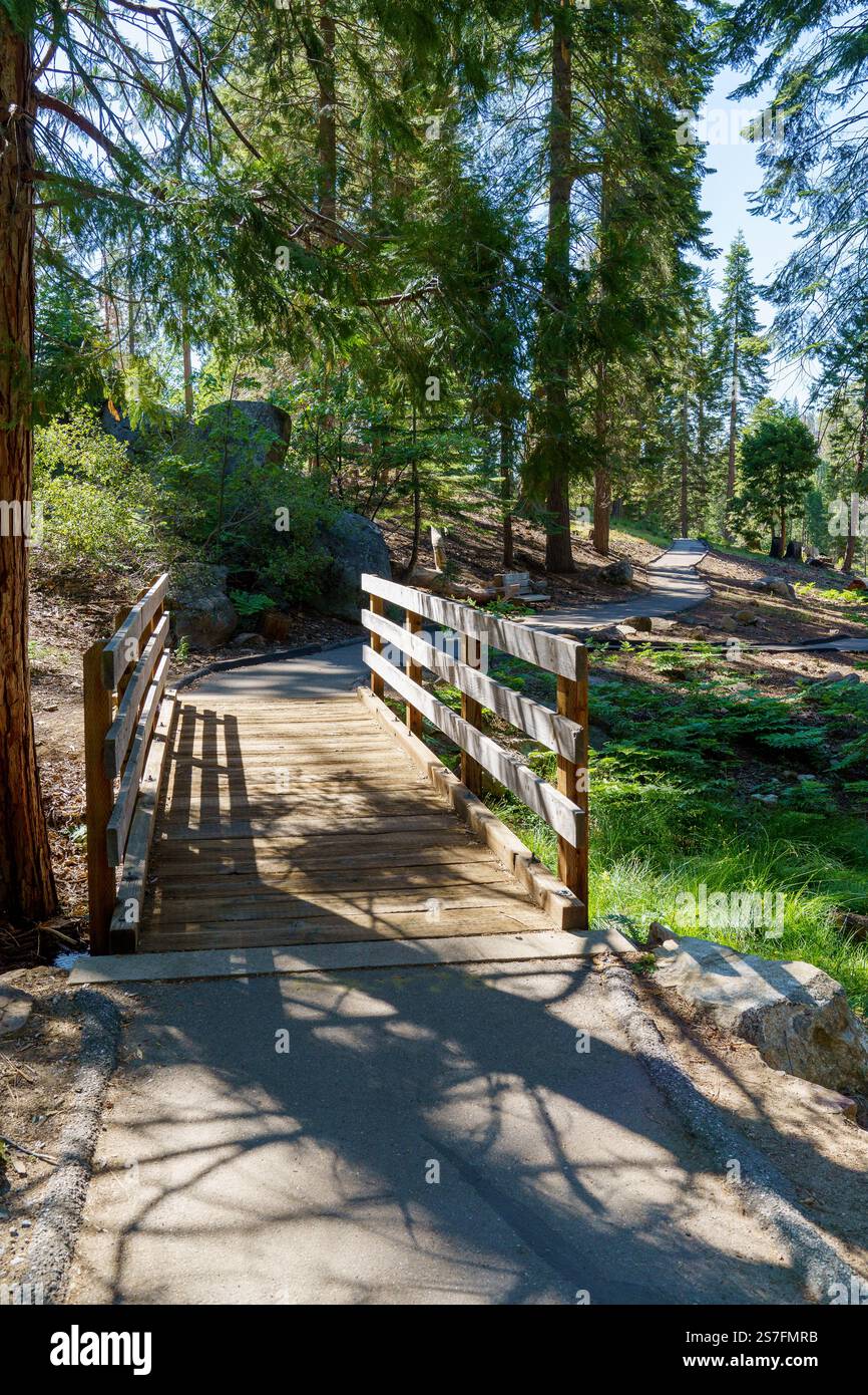 Ponte pedonale in legno e sentiero per passeggiate lungo il Trail of 100 Giants nella Sequoia National Forest in California Foto Stock