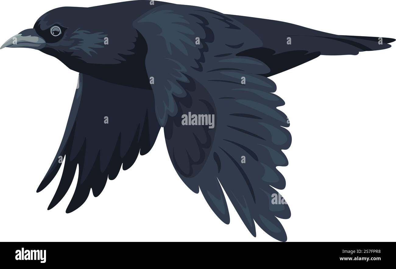 Corvo volante con ali spalmate, grande uccello nero isolato con piumaggio e piume pulite. Biodiversità delle foreste o dei boschi, degli animali aviari o della torre. Corona nell'habitat naturale. Vettore in stile piatto. Grande uccello nero, corvo in movimento, corvo volante Illustrazione Vettoriale