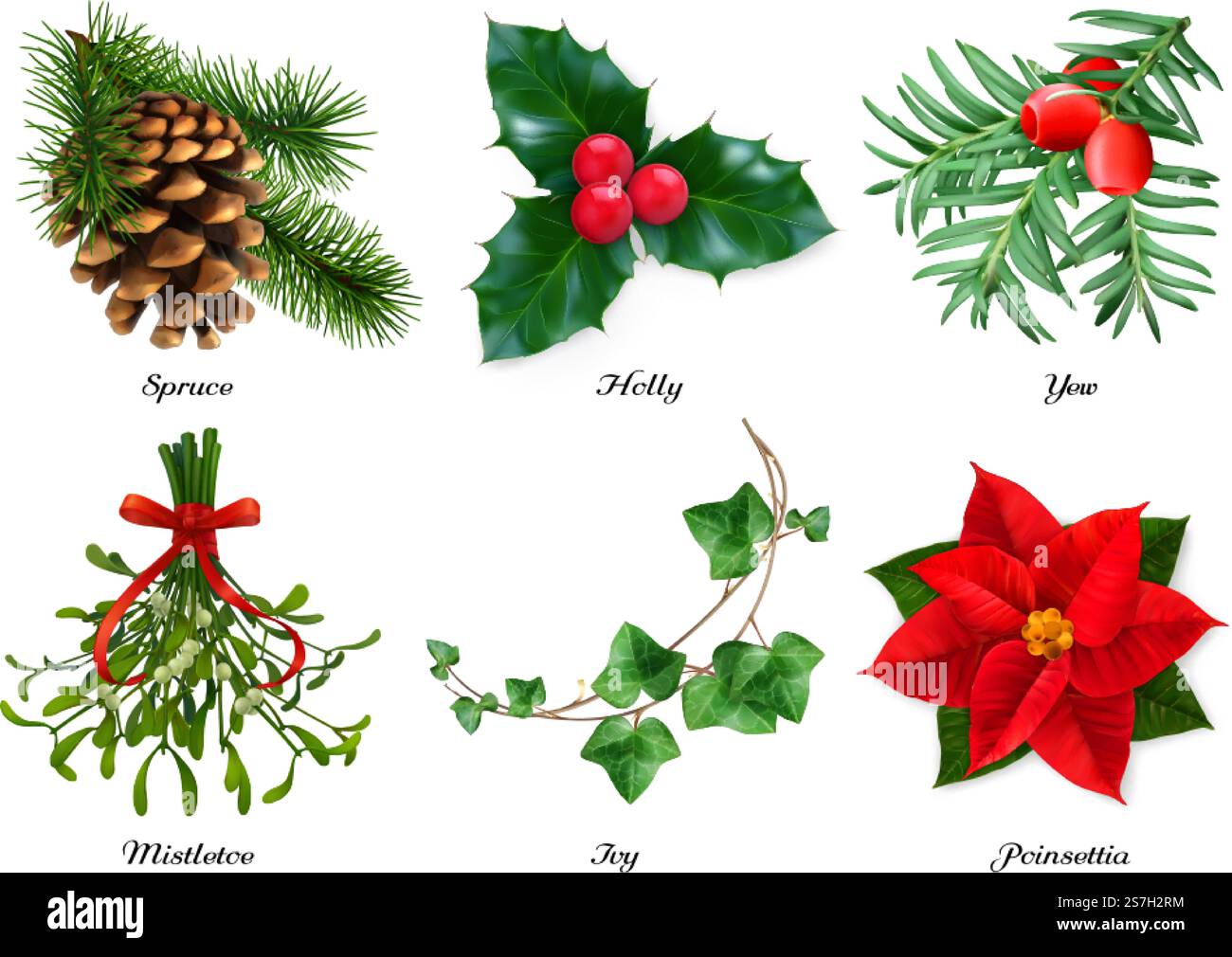 Piante, decorazioni natalizie. Spruce, holly, yew, mistletoe, ivy, poinsettia. set vettoriale realistico 3d. Illustrazione Vettoriale