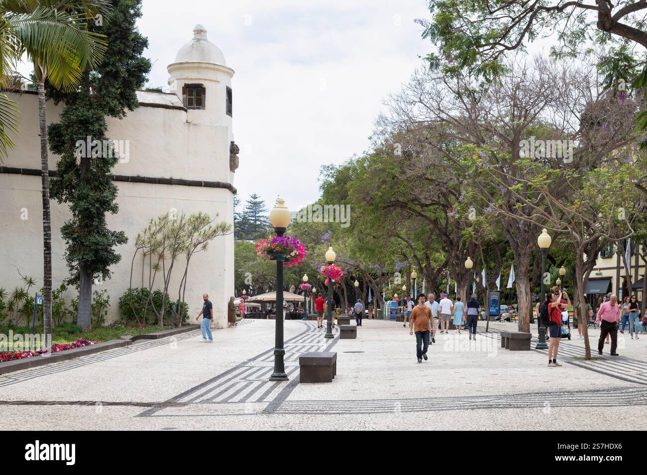 Avenue Arriaga con il Palazzo di São Lourento sulla destra nel centro di Funchal sull'isola portoghese di Madeira. Foto Stock