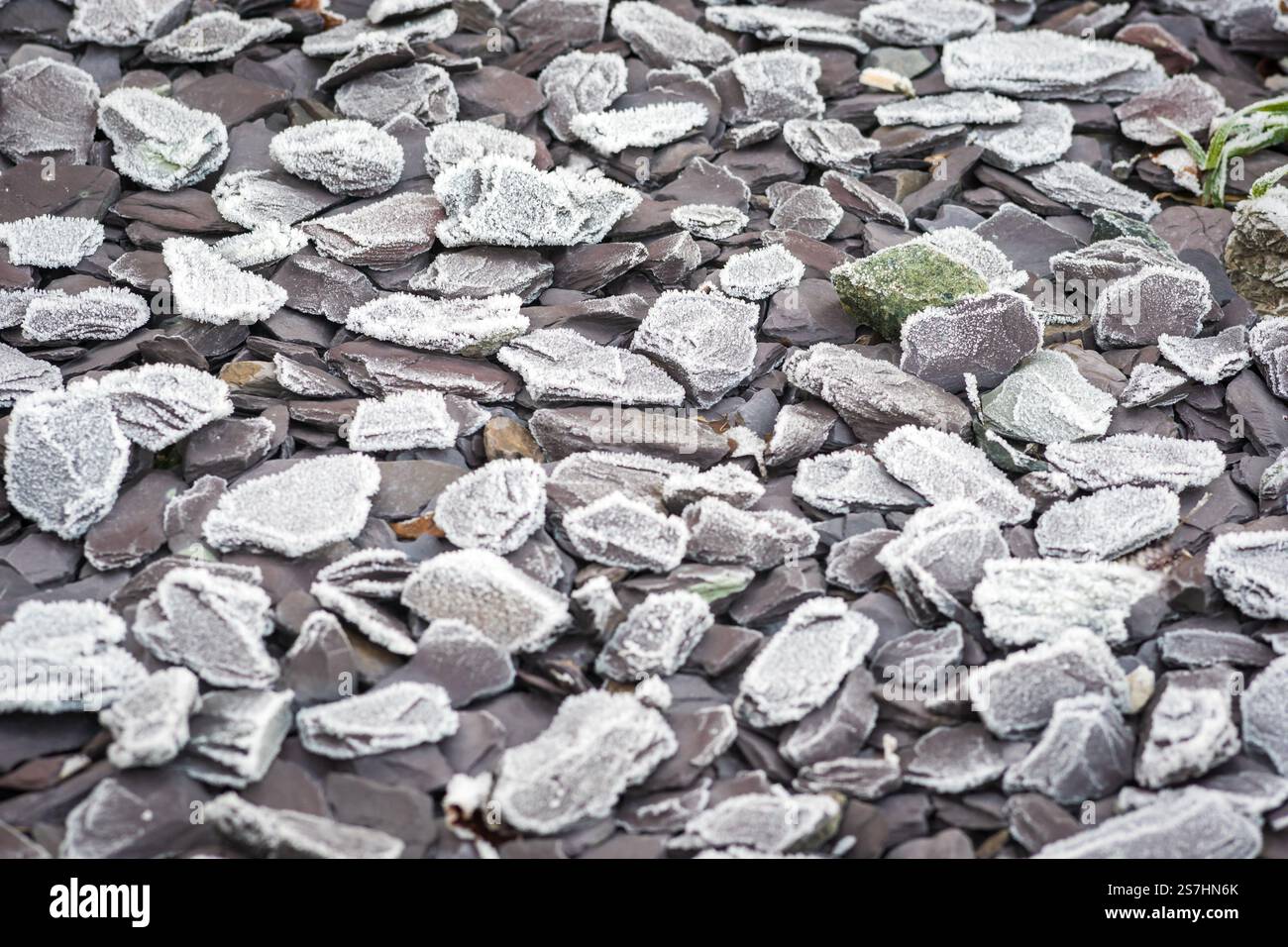 Trucioli di ardesia nera per il paesaggio ricoperti di ghiaccio ghiacciato in inghilterra, regno unito. Foto Stock