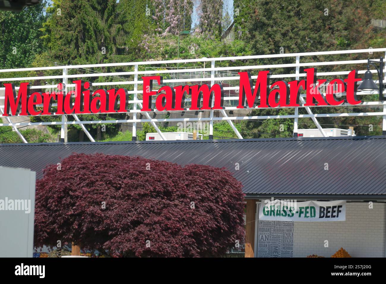 Meridian Farm Market cartello pubblicitario manzo alimentato a erba - Mission, British Columbia, Canada. Foto Stock