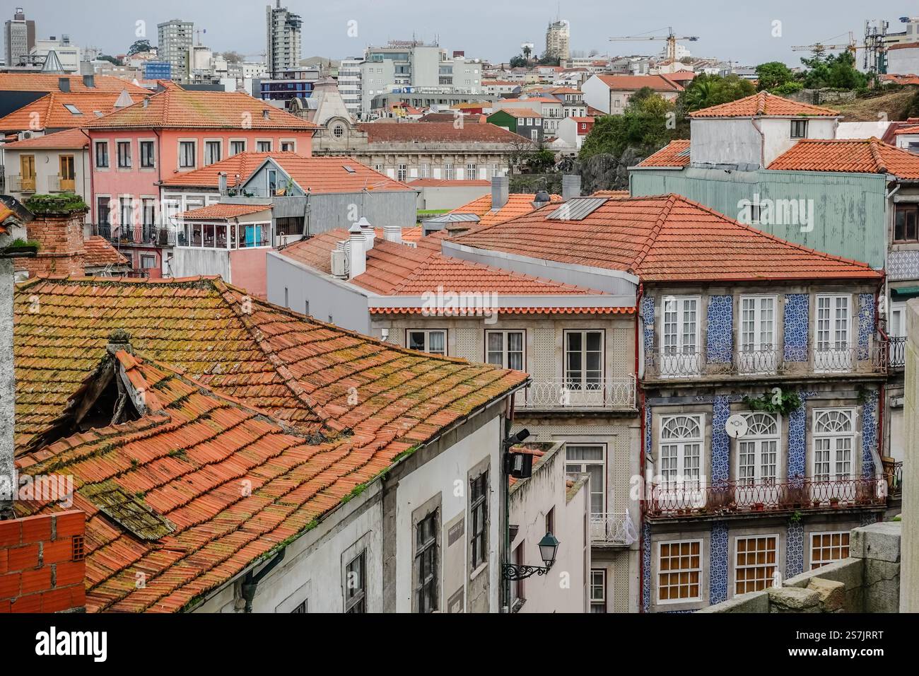Vista delle case con tetti rossi a Porto, Portogallo Foto Stock