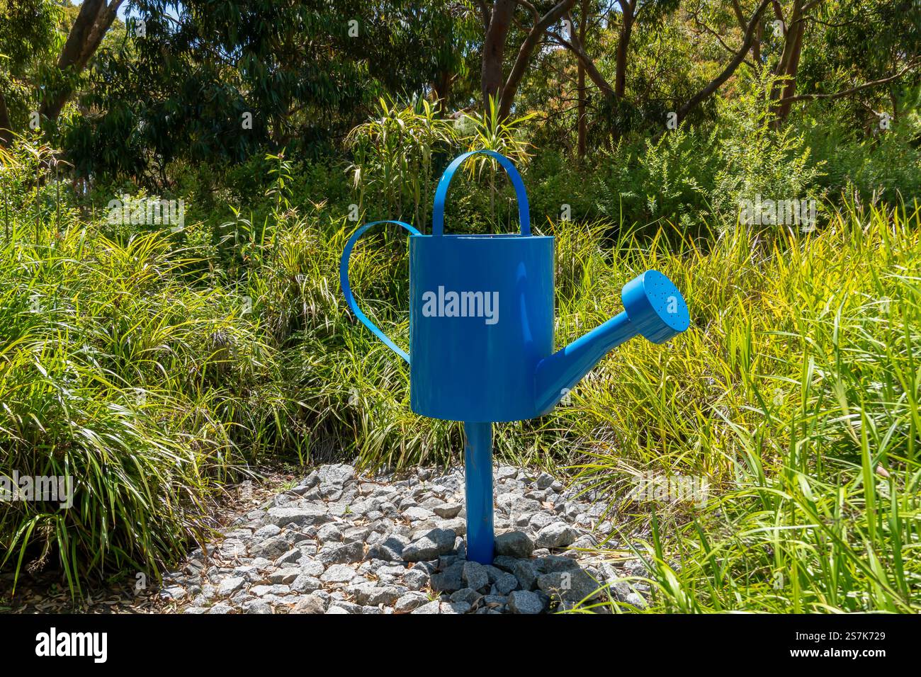 L'innaffiatura blu brillante può scolpire in un lussureggiante giardino circondato da vegetazione e pietre Foto Stock