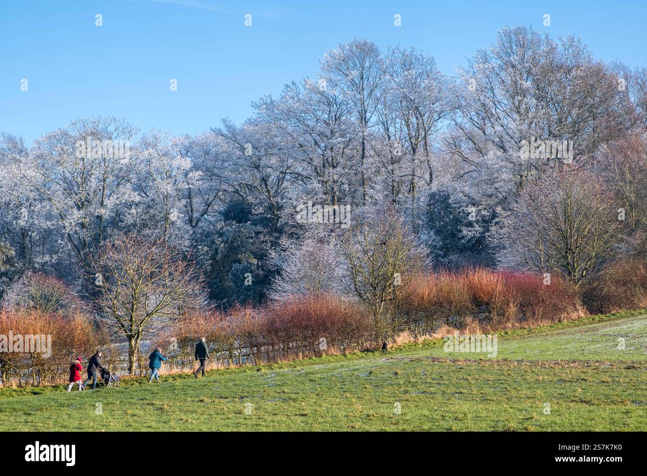 Famiglia che fa una passeggiata invernale. Hoxne, Suffolk, Regno Unito. Foto Stock