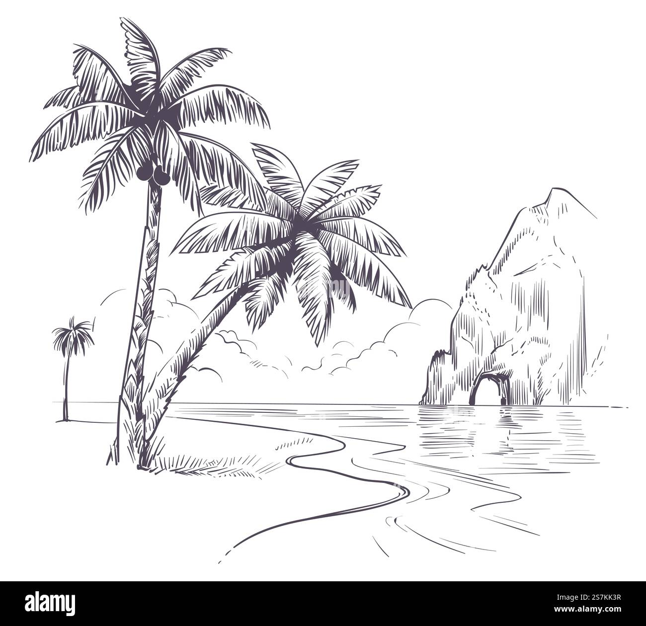 Paesaggio di palme. Disegna le palme tropicali della costa oceanica, l'isola esotica delle hawaii, poster delle vacanze estive natura, sfondo a matita vettoriale disegnato a mano. Paesaggio di palme. Disegna le palme tropicali della costa oceanica, l'isola esotica delle hawaii, poster delle vacanze estive natura, sfondo vettoriale disegnato a mano Illustrazione Vettoriale