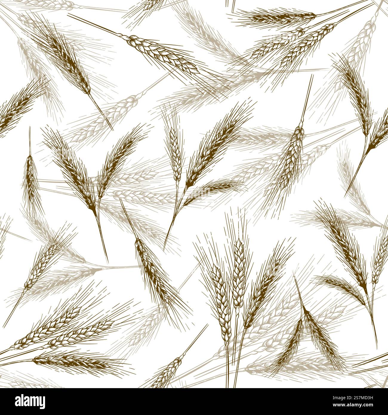 Orecchie in frumento senza cuciture. Disegnare grani di pane, orecchie da forno trafilate a mano e set di illustrazioni vettoriali di grani di pane. Raccolta autunnale, prodotti naturali e biologici per il confezionamento isolati su bianco. Orecchie in frumento senza cuciture. Disegnare grani di pane, orecchie da forno trafilate a mano e set di illustrazioni vettoriali di grani di pane Illustrazione Vettoriale