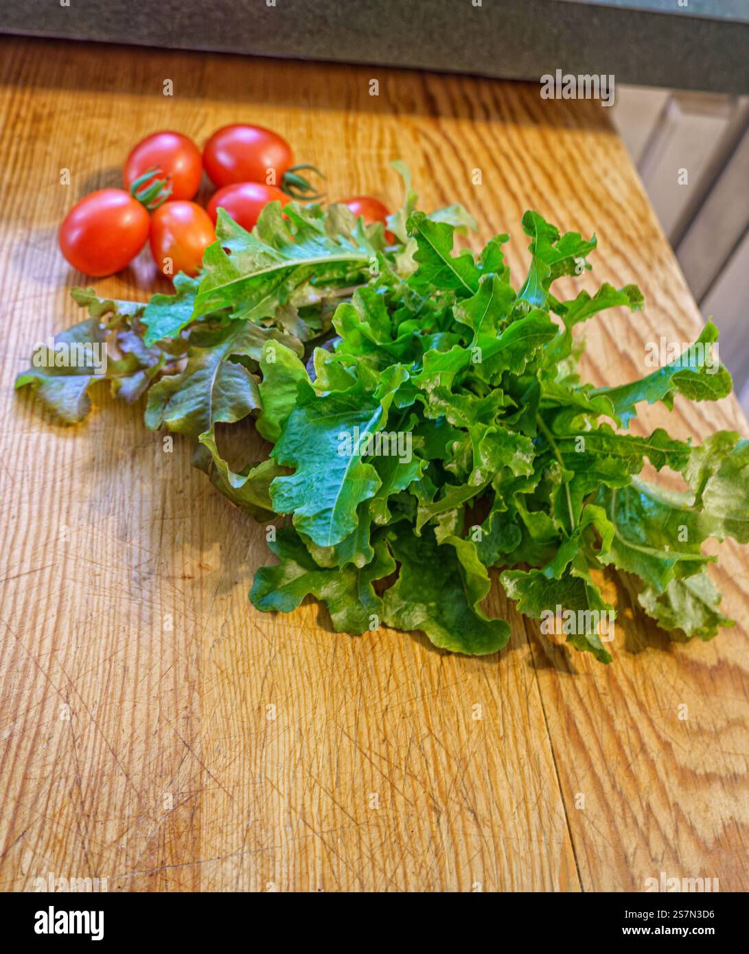 Raccolta autunnale di ingredienti biologici freschi per insalata pomodori d'uva e lattuga mista primaverile su un tagliere in legno vintage. Vista verticale. Foto Stock
