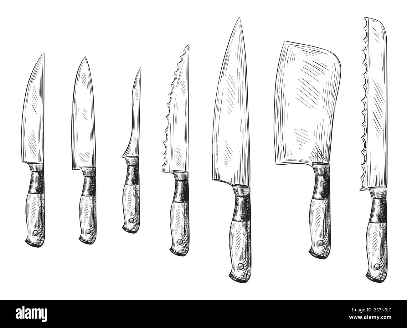 Coltello da cena disegnato a mano. Coltelli da chef vintage, coltello da cucina inciso. Antiche incisioni, posate, utensili da cucina per la cena al ristorante. Set di illustrazioni vettoriali con icone isolate. Coltello da cena disegnato a mano. Coltelli da cuoco vintage, set illustrativo vettoriale con coltelli da cucina incisi Illustrazione Vettoriale
