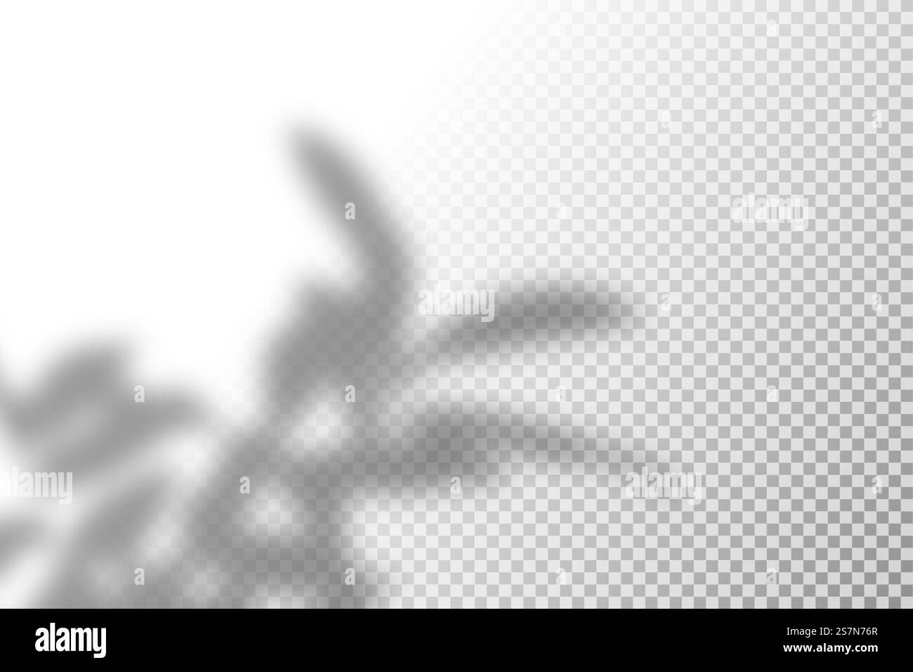 Illustrazione vettoriale dell'effetto di sovrapposizione delle ombre realistico. Ombre chiare chiare trasparenti e sfocate di rami, foglie e fogliame. Sfondo moderno per la presentazione del prodotto. Illustrazione vettoriale dell'effetto di sovrapposizione delle ombre realistico. Ombre chiare chiare trasparenti e sfocate di rami, foglie e fogliame. Sfondo moderno per la presentazione del prodotto Illustrazione Vettoriale