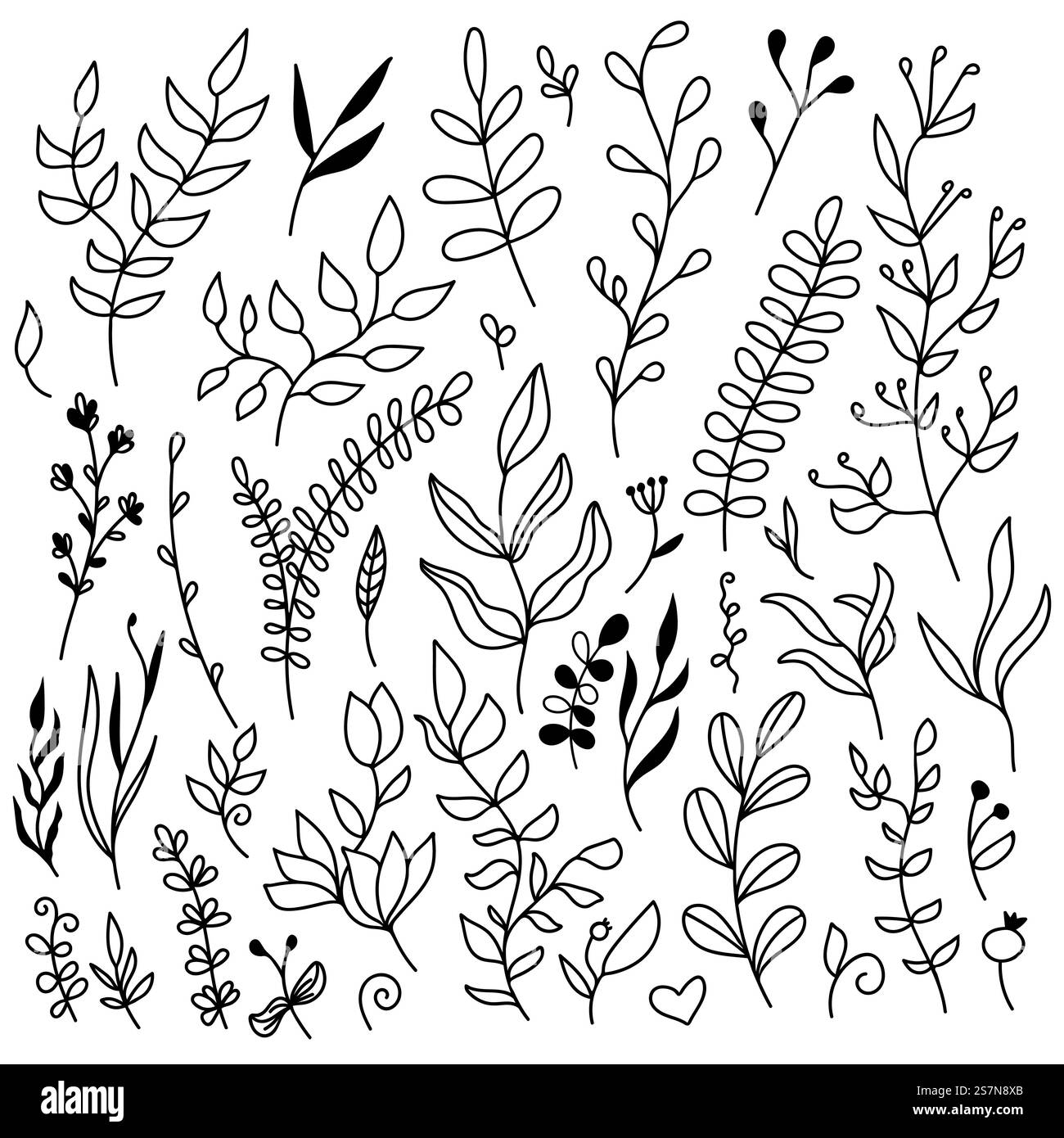 Set di elementi floreali vettoriali - foglie e rami. Collezione di illustrazioni botaniche disegnate a mano. Ideale per elementi di design per matrimoni, biglietti d'invito, cornici, bordi, ghirlande. Set di elementi floreali vettoriali - foglie e rami. Collezione di illustrazioni botaniche disegnate a mano. Ideale per elementi di design per matrimoni, biglietti d'invito, cornici, bordi, ghirlande. Illustrazione Vettoriale