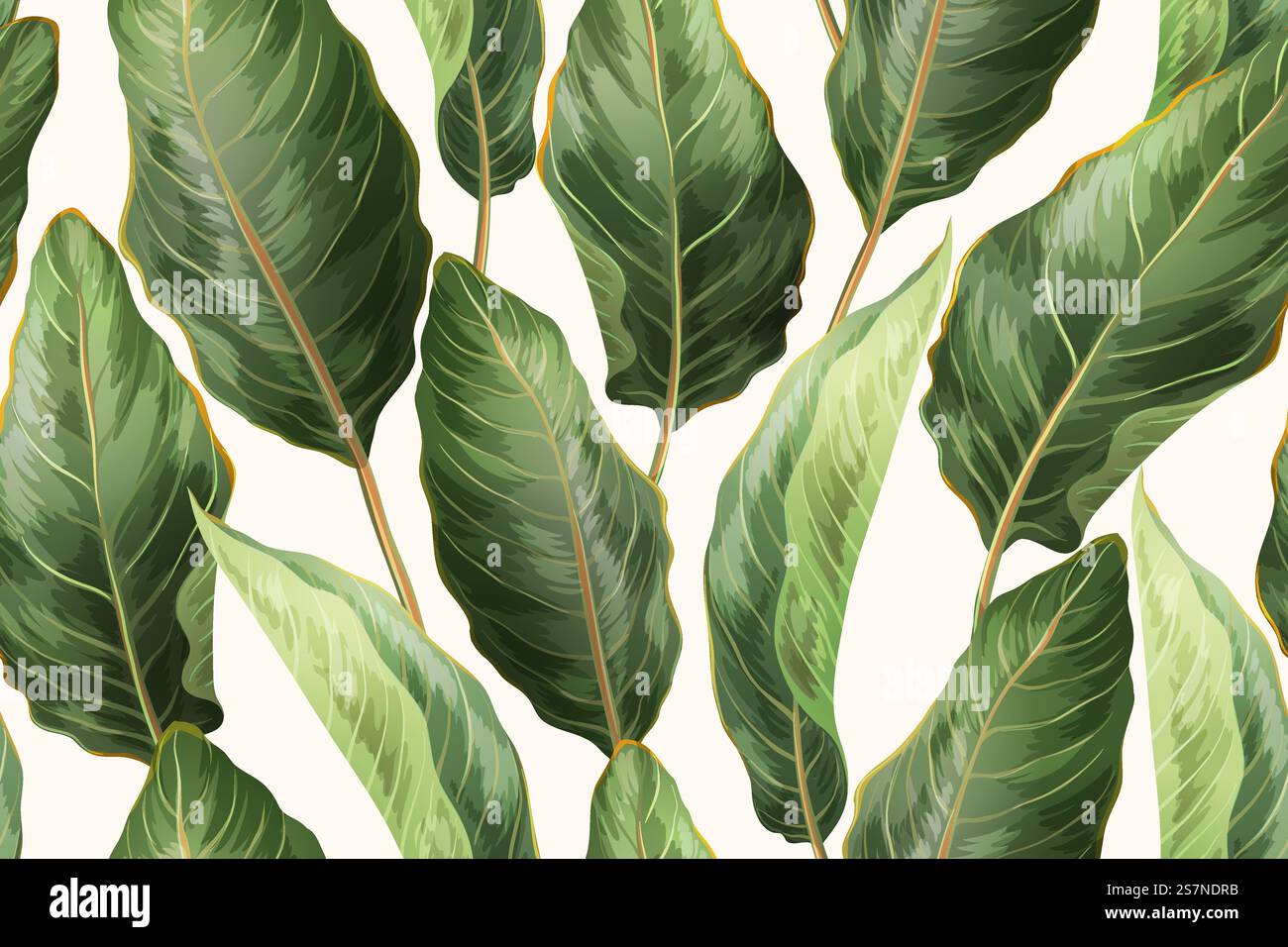 Motivo vettoriale tropicale senza cuciture. Stampa botanica con foglie esotiche. Sfondo giungla per tessuti, Web, carta da imballaggio, imballaggi, biglietti. Illustrazione Vettoriale