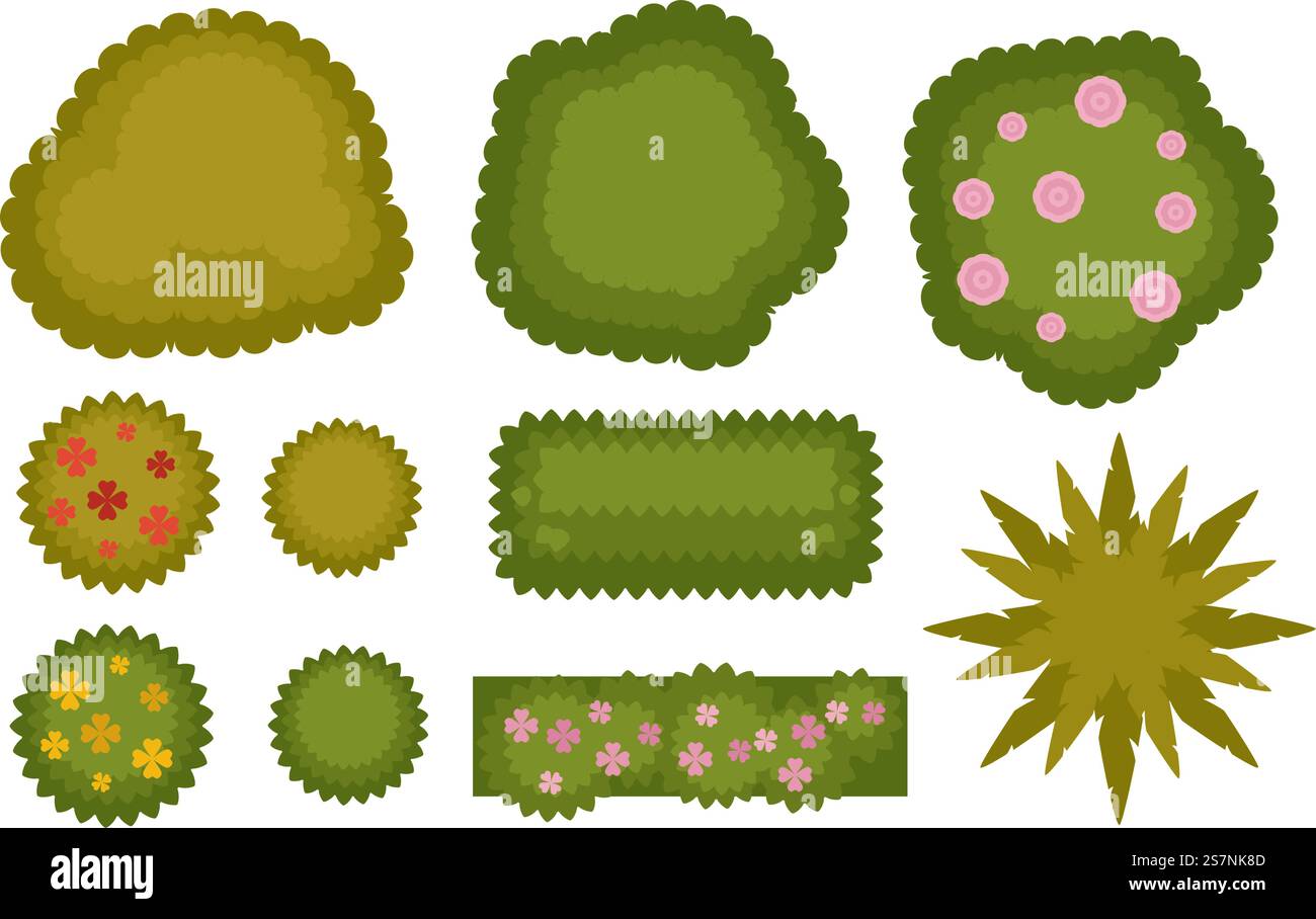 Decorazioni di cespugli e arbusti per giardini o giardini all'aperto. Fiori e fogliame isolati, foglie e gemme in fiore. Diversità vegetale e vegetale, natura e ornamenti. Vettore in stile piatto. Cespugli e arbusti esterni vettoriali Illustrazione Vettoriale