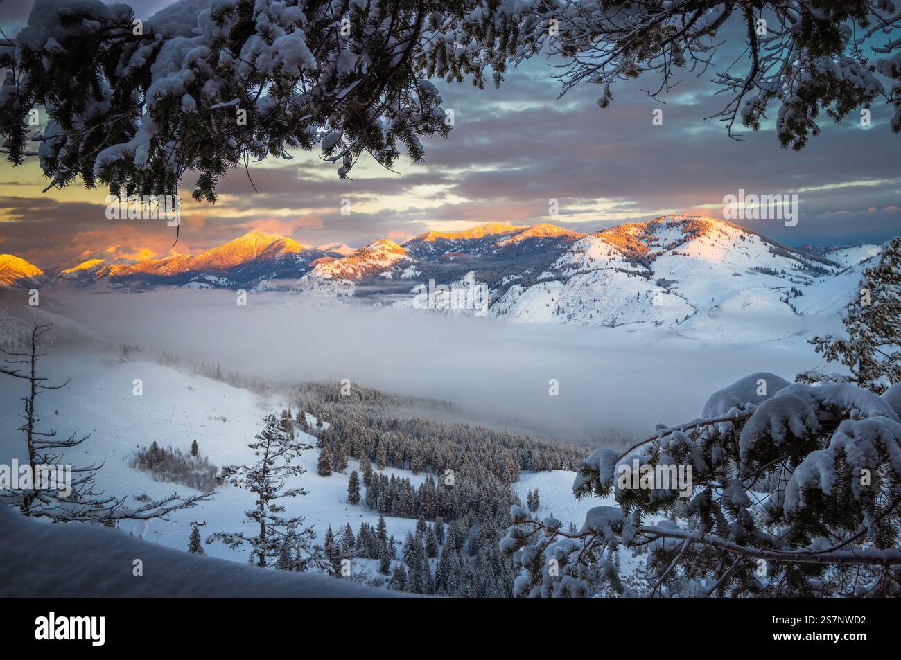 Vista invernale nella Methow Valley, Washington Foto Stock