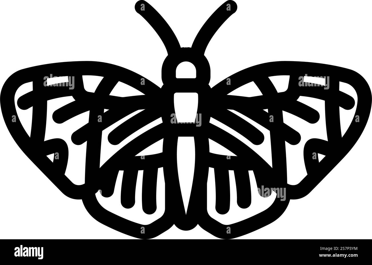 vettore icona della linea di insetti con ali lunghe sapho. segno di insetto a longwing sapho. illustrazione nera del simbolo del contorno isolato. illustrazione vettoriale dell'icona della linea di insetti con ali lunghi sapho Illustrazione Vettoriale