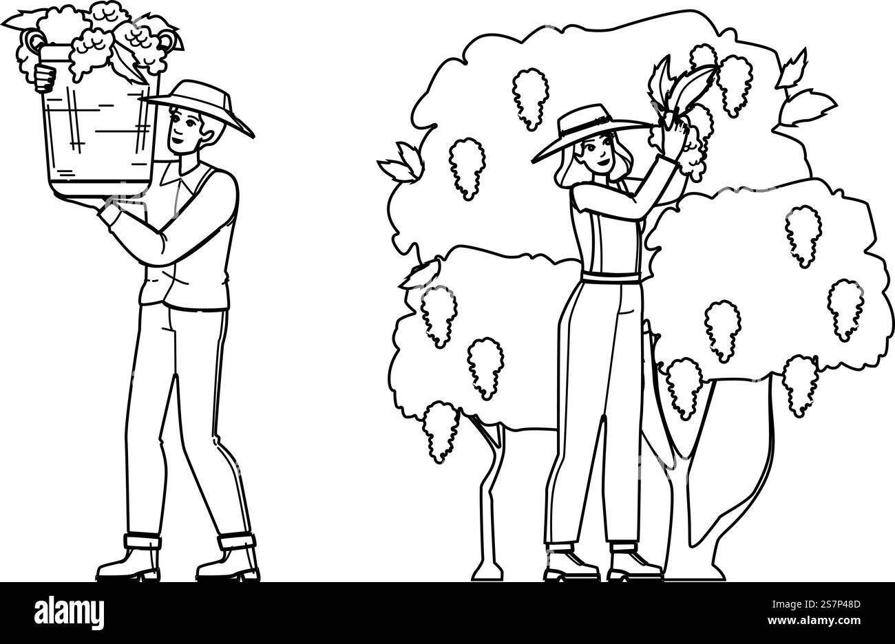 vendemmia vettoriale. vino d'uva, vite da vigneto, agricoltura rossa, cantina autunno, cibo vendemmia verde carattere. illustrazione della linea nera delle persone. vendemmia vettoriale Illustrazione Vettoriale