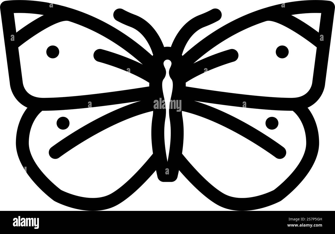 vettore icona linea estiva bianca cavolo. insegna estiva bianca di cavolo. illustrazione nera del simbolo del contorno isolato. illustrazione vettoriale dell'icona della linea estiva bianca di cavolo Illustrazione Vettoriale