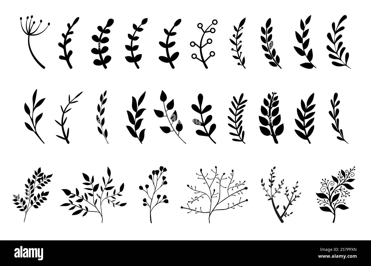 Rami disegnati a mano con l'icona vettore foglie e fiori Illustrazione Vettoriale