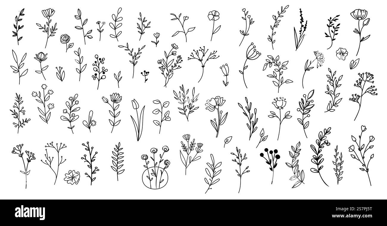 Set di semplici scarabocchi di fiori, rami disegnati a mano, icona foglie Illustrazione Vettoriale